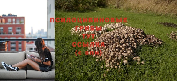 не бодяженный Покровск
